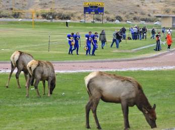 "Only in Gardiner, MT"