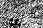 Siyeh Pass