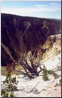 Canyon View - Active Thermal Area