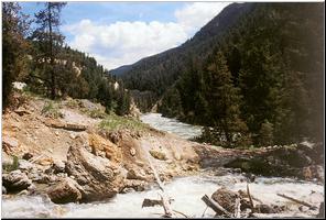 Sulpher Creek meets the Yellowstone