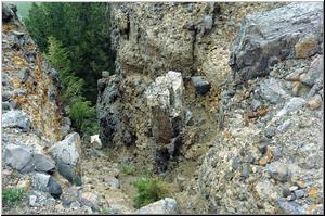 Petrified Tree Trunk