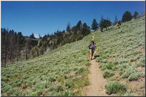 Joe on trail at Blacktail