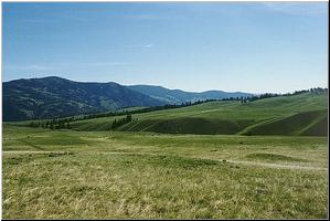 Rolling Hills of Blacktail