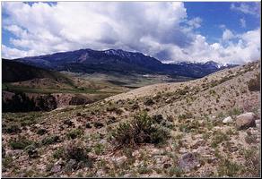View west on YR Trail
